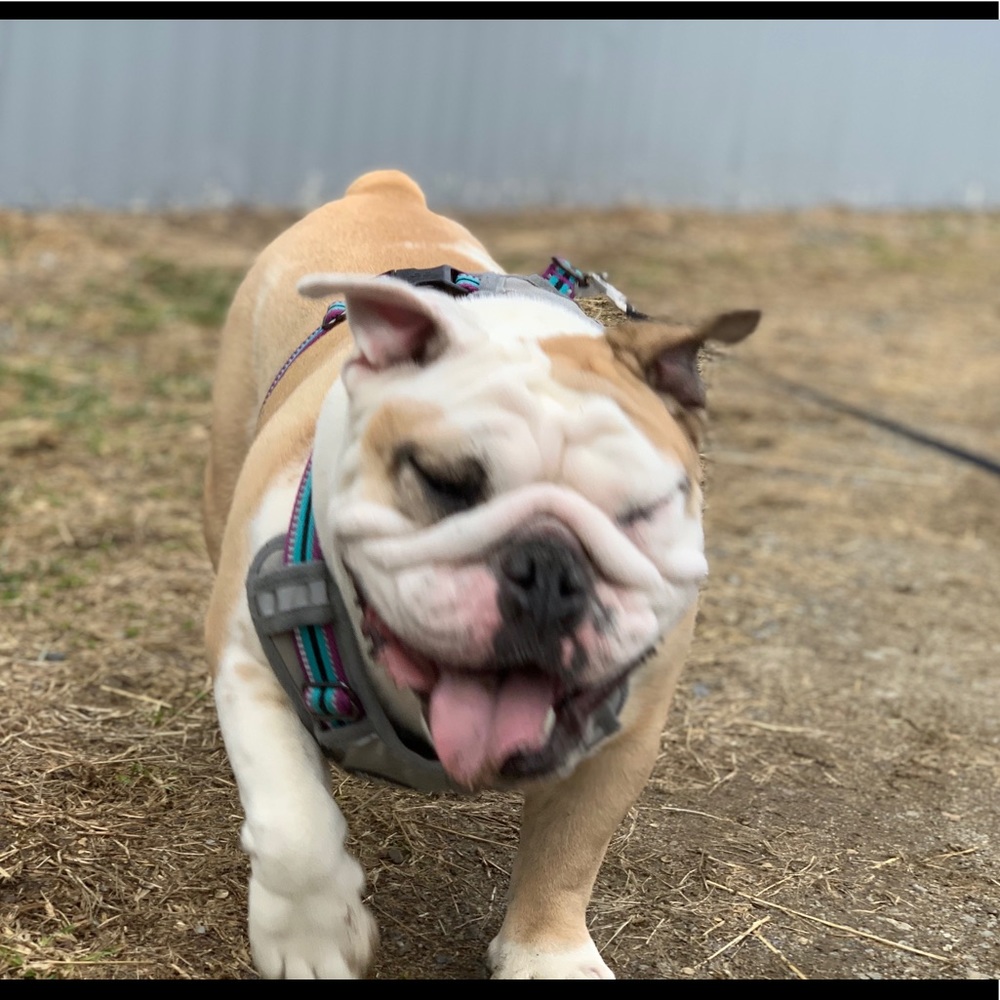 @Bekafab  FOLLOW GAME😻 - Picture 4 of 11